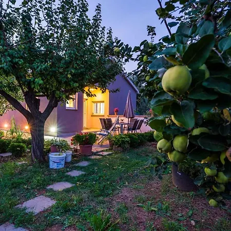 Holiday In 35484 Holiday home Dobropoljana