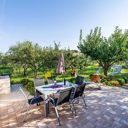 Tatil Evi Holiday In 35484